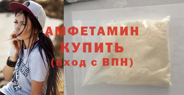 индика Беслан