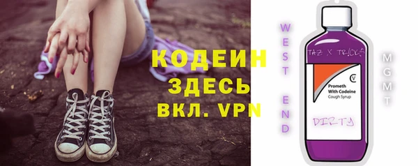стаф Бикин