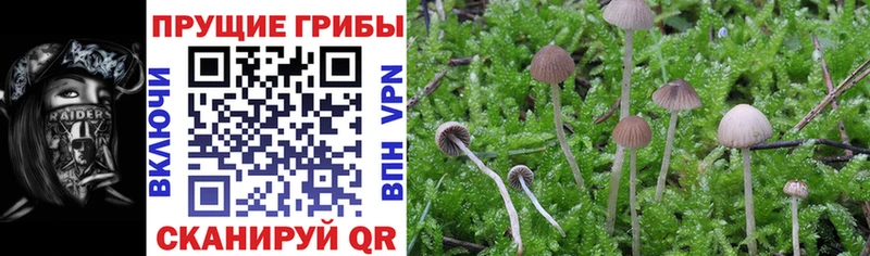 сколько стоит  omg как войти  Псилоцибиновые грибы ЛСД  Верхняя Салда 